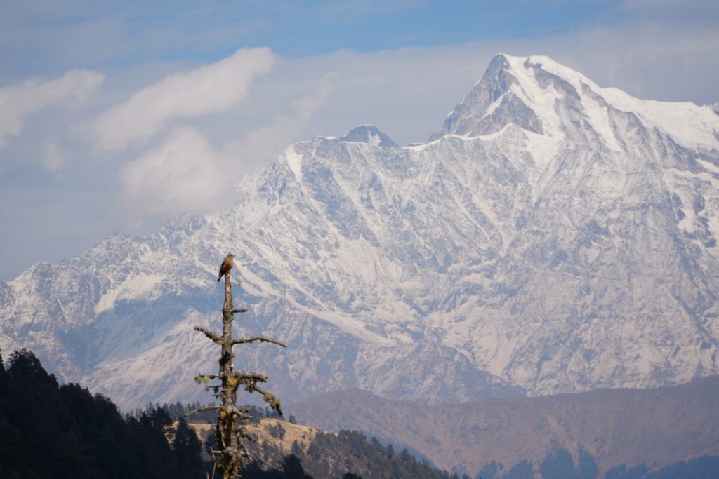 mount nanda ghunti